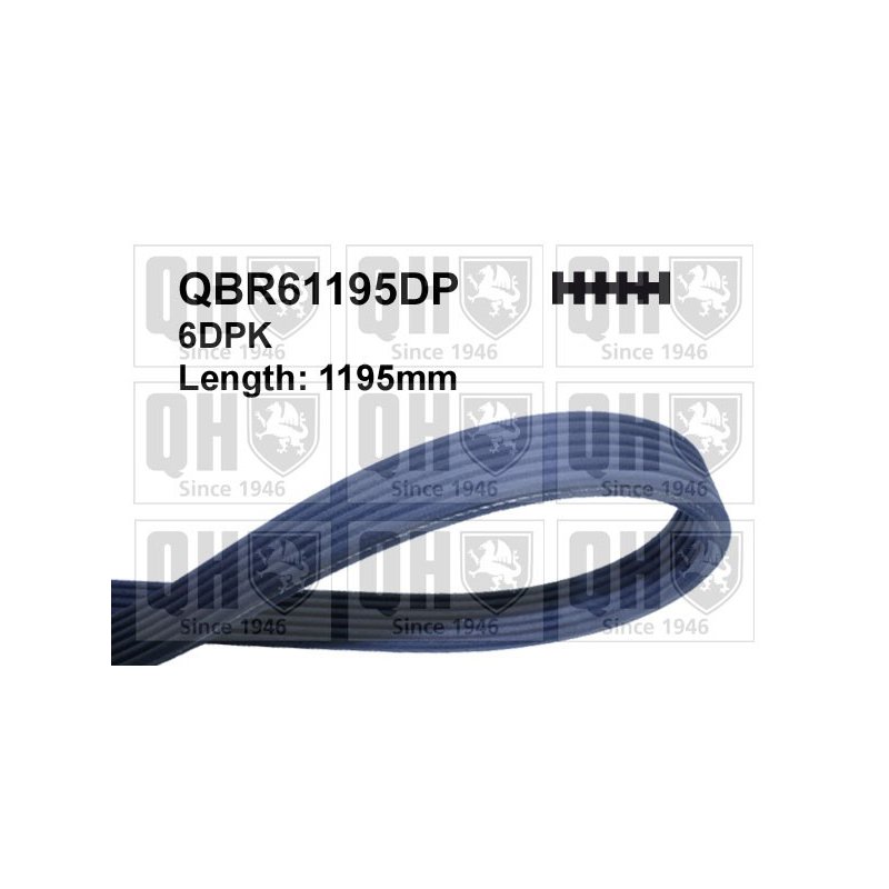 V Ribbed Belt QUINTON HAZELL QBR61195DP OE Ref 1111928 QUINTON HAZELL