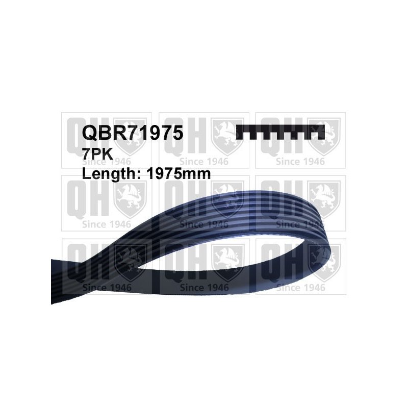 V Ribbed Belt QUINTON HAZELL QBR71975 OE Ref 60561247 QUINTON HAZELL