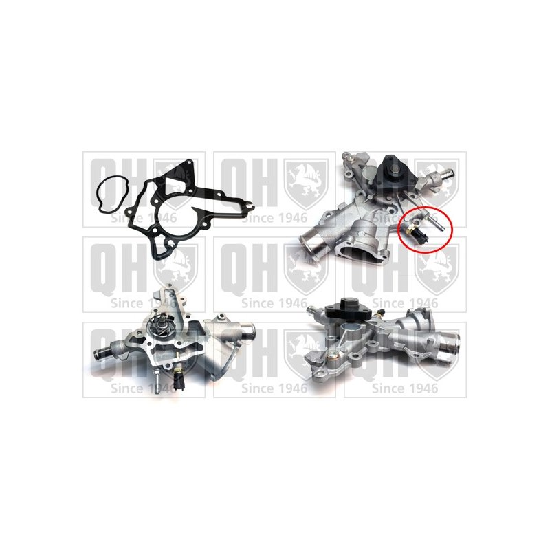 Engine Cooling Water Pump QUINTON HAZELL QCP3590BH OE Ref 1334145 QUINTON HAZELL