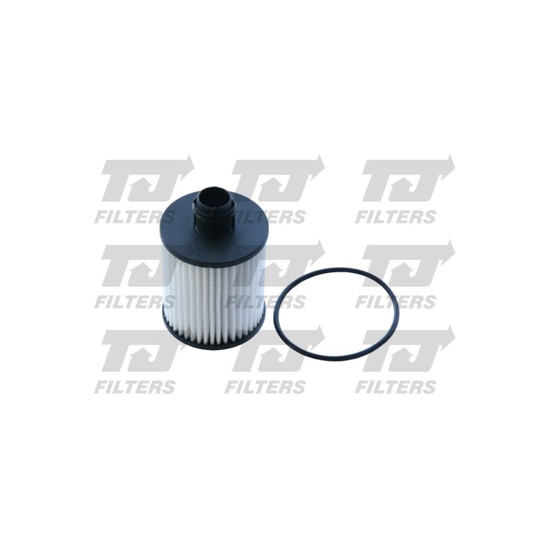 Oil Filter QUINTON HAZELL QFL0303 OE Ref 0650017 QUINTON HAZELL