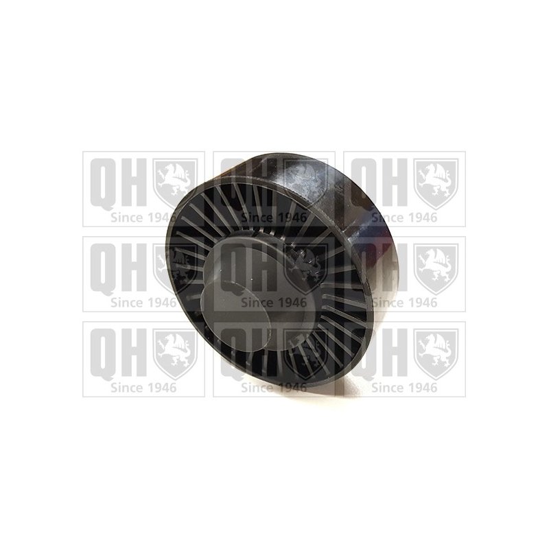 Vribbed Belt Deflection Guide Pulley QUINTON HAZELL QTA1606 OE Ref 11287535860 QUINTON HAZELL