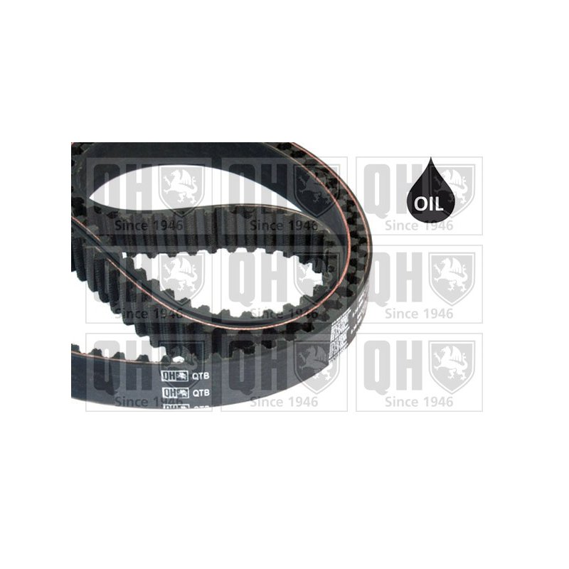 Timing Belt QUINTON HAZELL QTB807 OE Ref 03L115264 QUINTON HAZELL