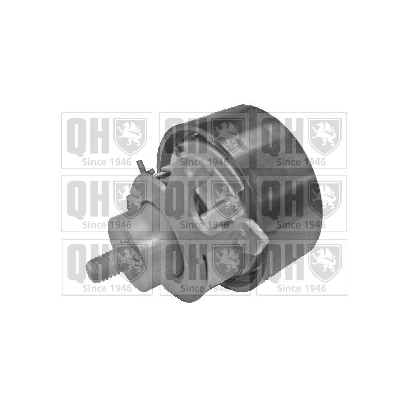 Timing Belt Tensioner Pulley QUINTON HAZELL QTT873 OE Ref 036109243AF QUINTON HAZELL