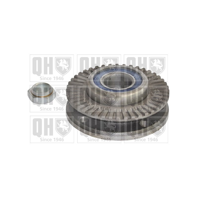 Wheel Bearing Kit QUINTON HAZELL QWB734 OE Ref 60510366 QUINTON HAZELL