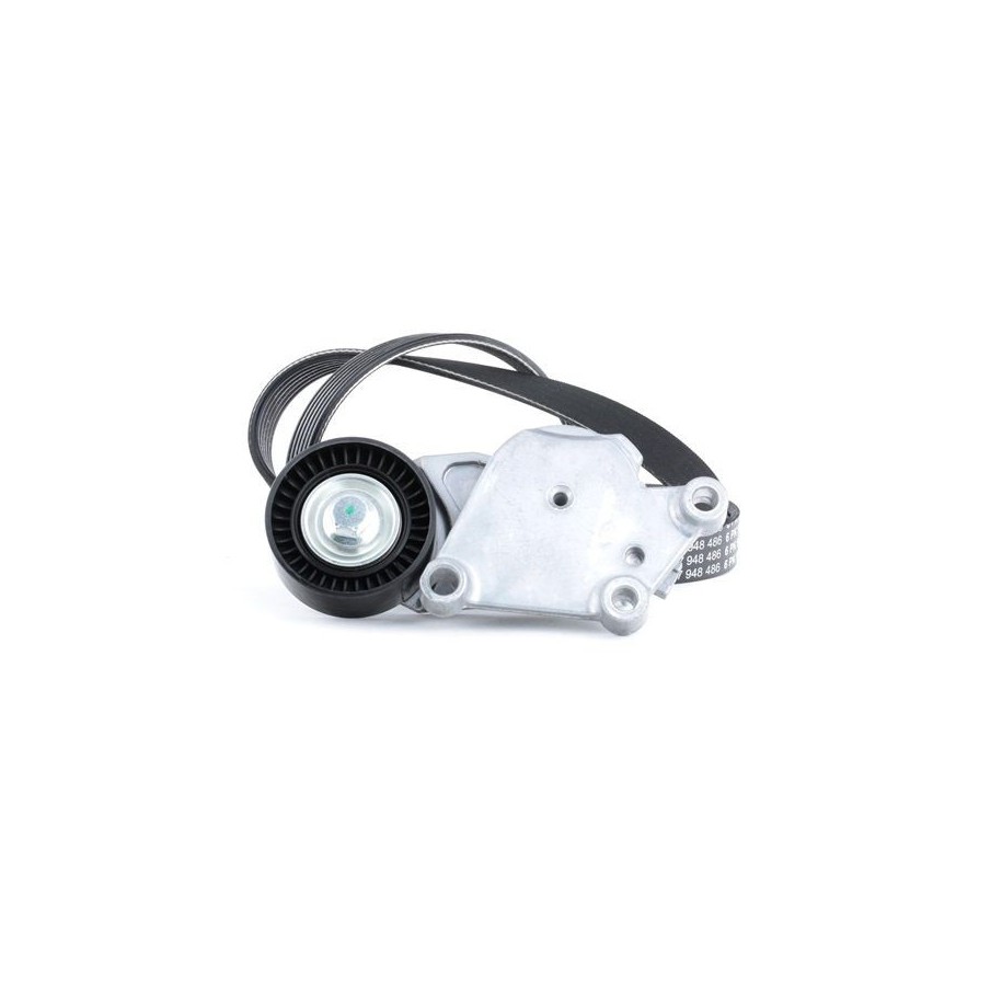 Courroie RIDEX V à nervures 542R0005 pour PEUGEOT, CITROËN et plus encore... RIDEX