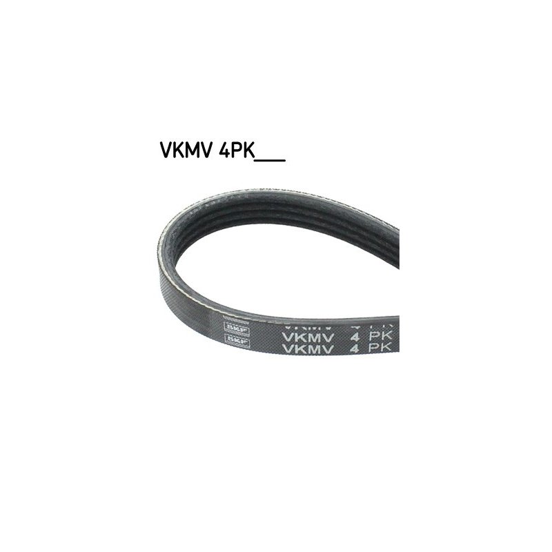 V ribbed Belt VKMV4PK800 SKF VKMV 4PK800 OE Ref 71742126 SKF
