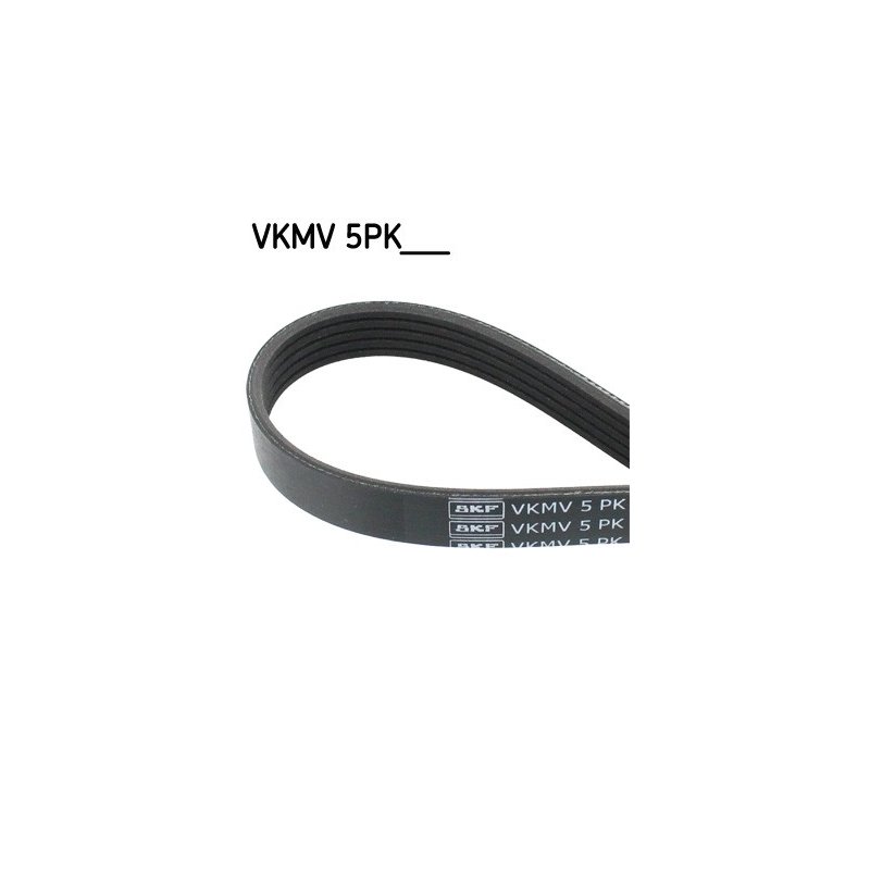 V ribbed Belt VKMV5PK1135 SKF VKMV 5PK1135 OE Ref 38920RB0004 SKF