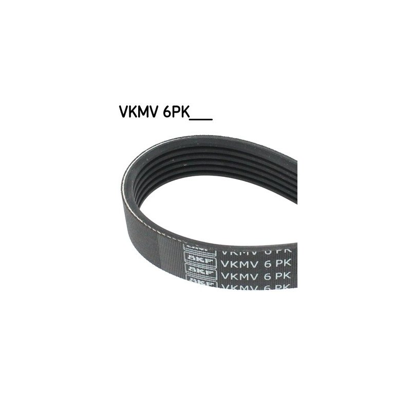 V ribbed Belt VKMV6PK1127 SKF VKMV 6PK1127 OE Ref 1172000Q1K SKF