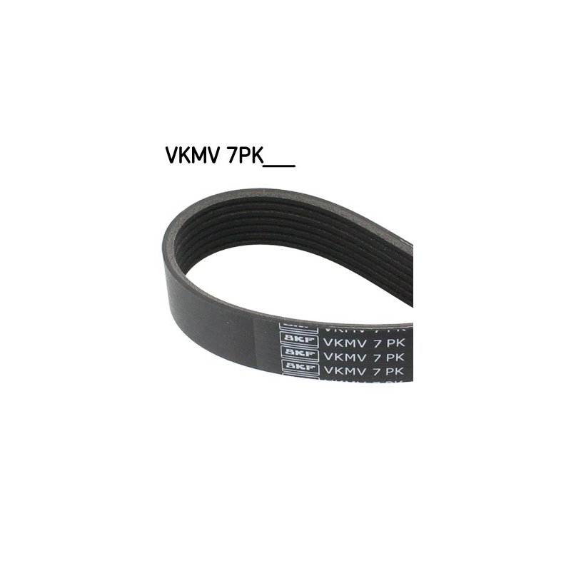 V ribbed Belt VKMV7PK2000 SKF VKMV 7PK2000 OE Ref 0029935096 SKF