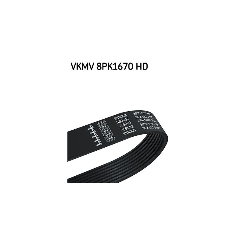 V ribbed Belt VKMV8PK1670HD SKF VKMV 8PK1670 HD OE Ref 9049970292 SKF
