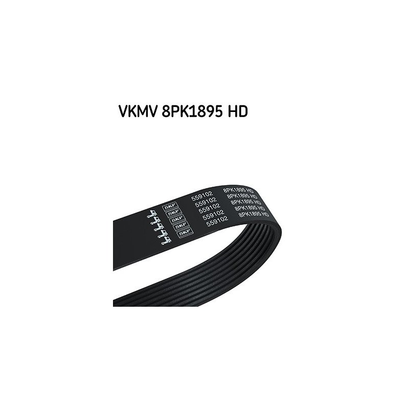 V ribbed Belt VKMV8PK1895HD SKF VKMV 8PK1895 HD OE Ref 1704613 SKF