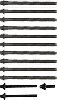 Cylinder Head Bolt Set VICTOR REINZ 14-32347-01 OE Ref 0204C1 VICTOR REINZ