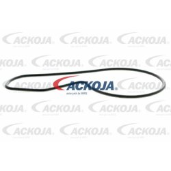 Pompe à eau de refroidissement moteur ACKOJA A26-50010 pour ACURA, HONDA ACKOJA