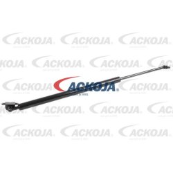 Cargo Area Gas Spring ACKOJA A37-0097 OE Ref MR349194