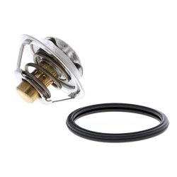 Coolant Thermostat ACKOJA A38-99-0015 OE Ref 21230EL00B