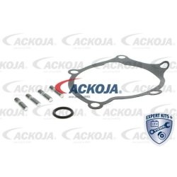 Pompe à eau de refroidissement moteur ACKOJA A52-50007 pour HYUNDAI, MITSUBISHI ACKOJA