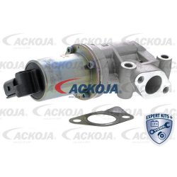 Egr Valve ACKOJA A52-63-0005 OE Ref 284102A100