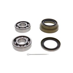 Wheel Bearing Kit ACKOJA A54-0016 OE Ref 9004311201