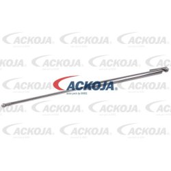 Cargo Area Gas Spring ACKOJA A70-0183 OE Ref 6895039207
