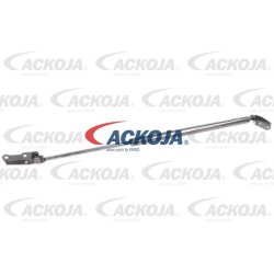 Cargo Area Gas Spring ACKOJA A70-0185 OE Ref 6890728070