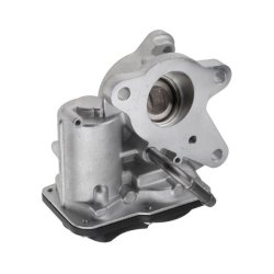 EGR Valve AMCP-15024-RE025 OE Ref 6991420900