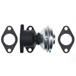 EGR Valve AMCP-15156-AU016 OE Ref 059131503B