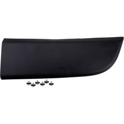 Front Right Door Trim protection Strip AMCP-20015-RE287 OE Ref 808200149R Aftermarket