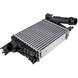 Intercooler AMCP-25869-RE001 OE Ref 144961381R