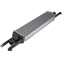 Intercooler AMCP-25910-FT011 OE Ref 51785221