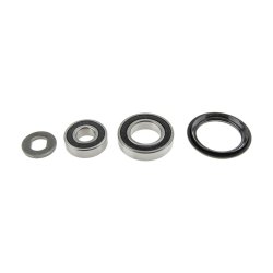 Steering Knuckle Repair Kit AMCP-26489-NS001 OE Ref 400302F000