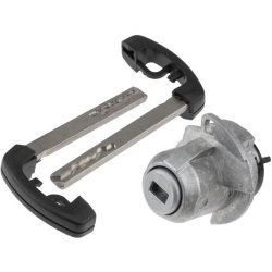 Front Left Lock Cylinder AMCP-27398-BM383