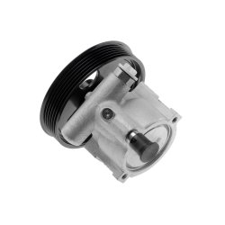 Steering Hydraulic Pump AMCP-30837-RE005 OE Ref 491100699R