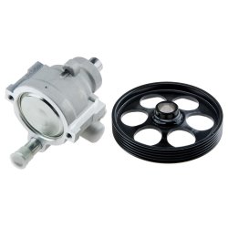 Steering Hydraulic Pump AMCP-30842-RE012 OE Ref 4911000Q0D