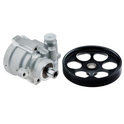 Steering Hydraulic Pump AMCP-30842-RE012 OE Ref 4911000Q0D Aftermarket