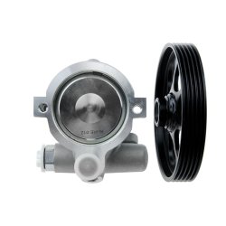 Steering Hydraulic Pump AMCP-30842-RE012 OE Ref 4911000Q0D Aftermarket