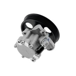 Steering Hydraulic Pump AMCP-30847-RE006 OE Ref 491100699R