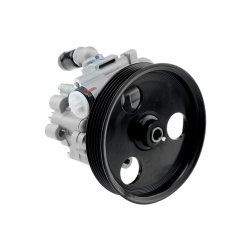 Steering Hydraulic Pump AMCP-30847-RE006 OE Ref 491100699R Aftermarket