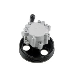 Steering Hydraulic Pump AMCP-30847-RE006 OE Ref 491100699R Aftermarket