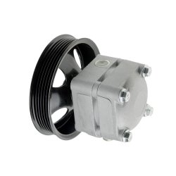 Steering Hydraulic Pump AMCP-30872-VV002 OE Ref 8602734