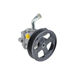 Steering Hydraulic Pump AMCP-31009-SU009 OE Ref 4910065D40 Aftermarket