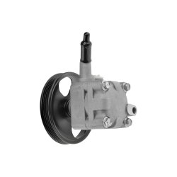 Steering Hydraulic Pump AMCP-31032-NS001 OE Ref 49110BA00C