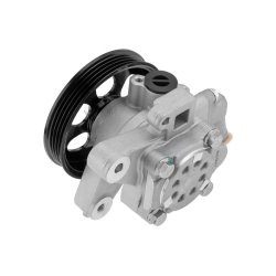 Steering Hydraulic Pump AMCP-31095-HD016 OE Ref 56100PDAE03