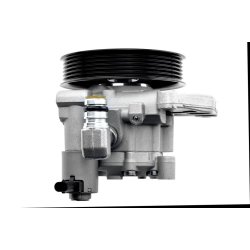 Steering Hydraulic Pump AMCP-31106-ME046 OE Ref 64664501 Aftermarket