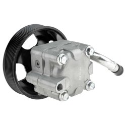 Steering Hydraulic Pump AMCP-31128-NS010 OE Ref 491101CB0B