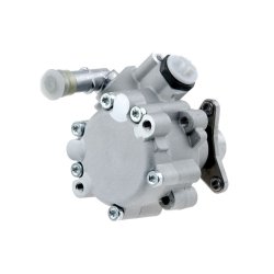 Steering Hydraulic Pump AMCP-31160-RE017 OE Ref 491101050RA