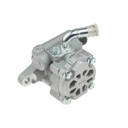 Steering Hydraulic Pump AMCP-31193-TY018 OE Ref 443100K030