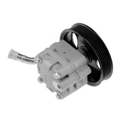 Steering Hydraulic Pump AMCP-31245-NS009 OE Ref 49110CG000