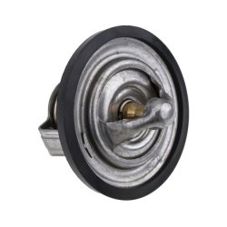 Coolant Thermostat AMCP-36622-CH034 OE Ref 0489217AA