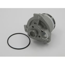 Engine Cooling Water Pump AMCP-38947-PL028 OE Ref 6334040