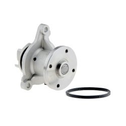 Engine Cooling Water Pump AMCP-39063-HY529 OE Ref 2510003020